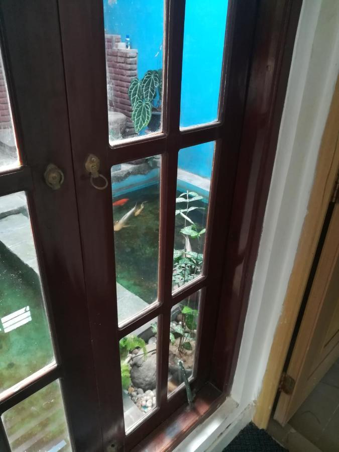Aurora Echo Villa Матара Екстериор снимка
